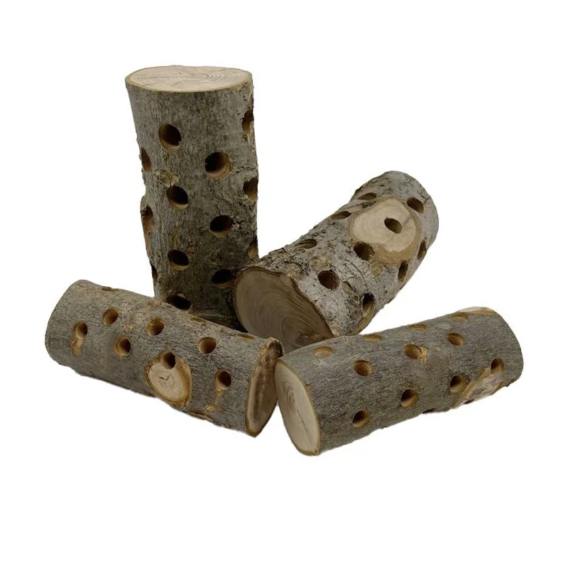 Zabawka do żucia dla małych zw – Woodworking Rabbet recenzja i cena